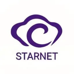 Starnet | 挂梯子