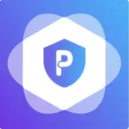 Poless VPN