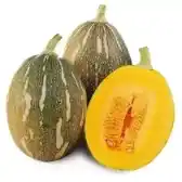 麻瓜加速