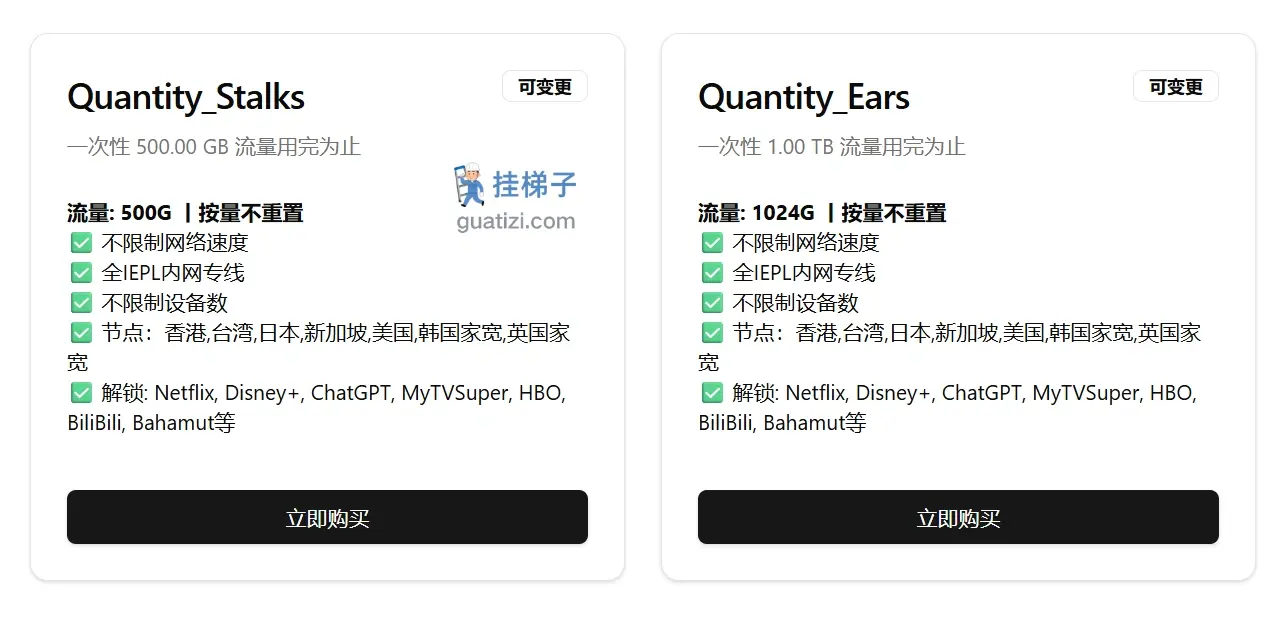 CornSS 机场 不限时按量付费 CornSS 机场 不限时按量付费
